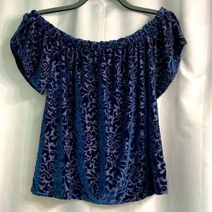 Hollister Navy Burnout Velvet Off the Shoulder Top Fleur de Lis